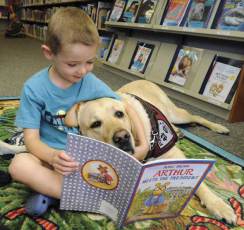 Boy reading to therapy dog